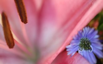 Wertemanagement lebt von den Details